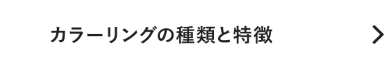 白髪染めのWELLA(ウエラ)公式サイト パーソナルカラー診断